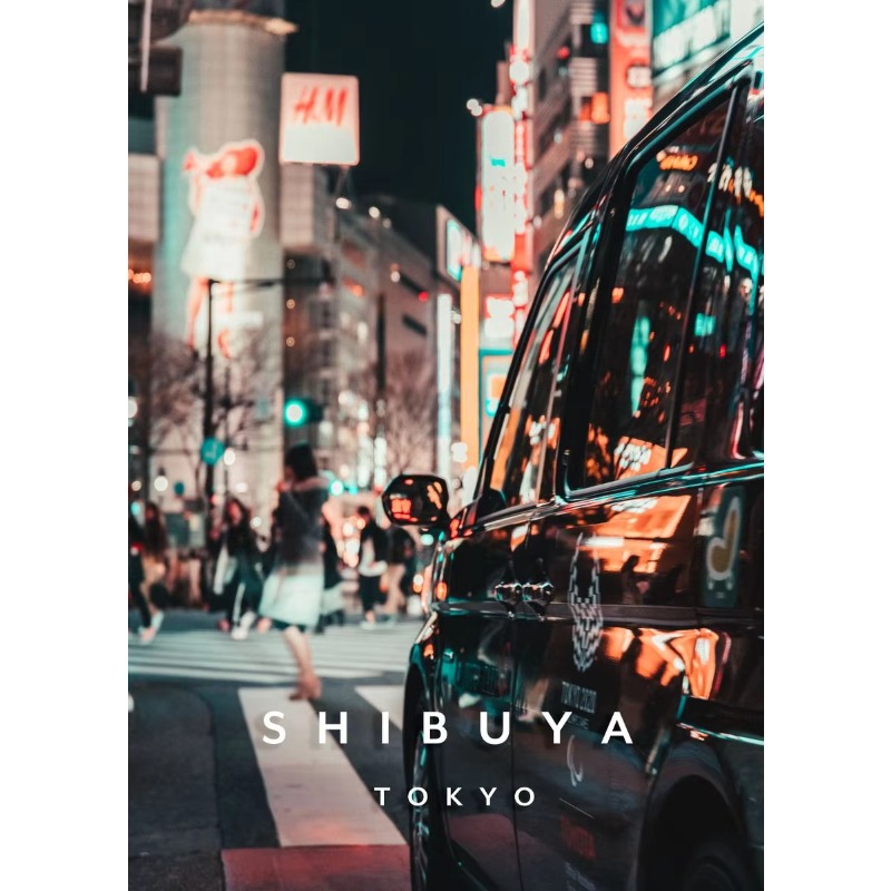 Home Decor Tokyo - لوحة فنية لمناظر طبيعية في طوكيو